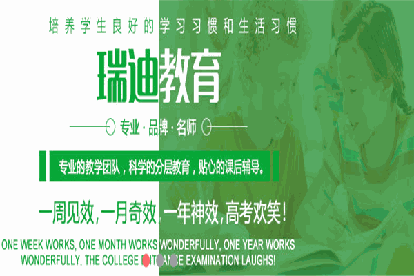 瑞迪教育