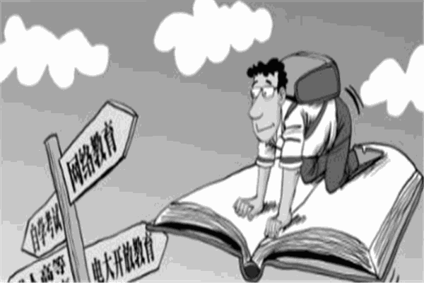 顿思教育