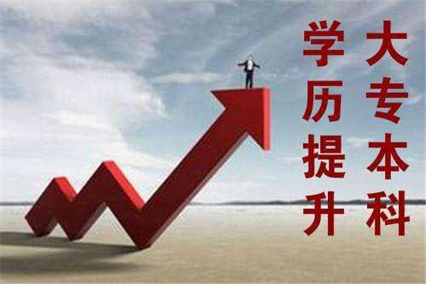 早起鸟教育