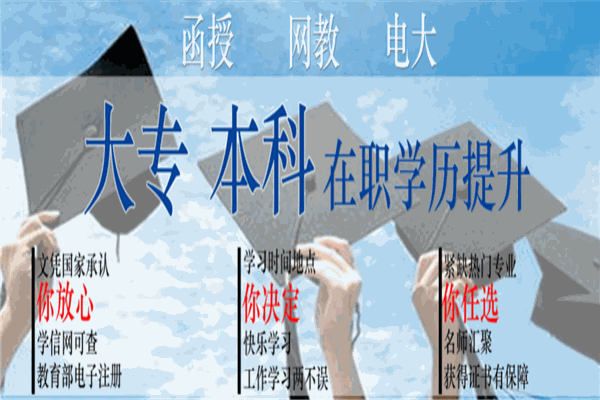启明教育