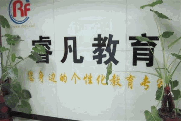 睿凡教育