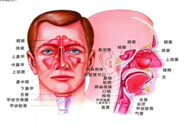 许善堂鼻炎馆加盟