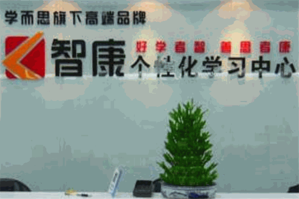 智康1对1课外辅导