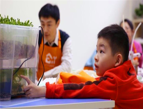 少年创学院