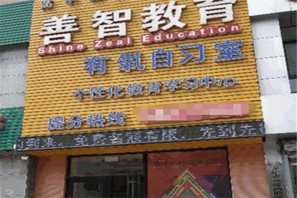 善智教育