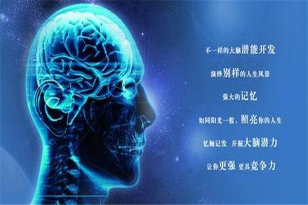 艾美琦教育