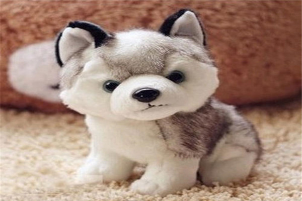 Poepoepets儿童玩具