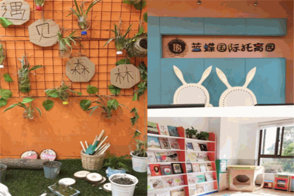蓝蝶国际托育