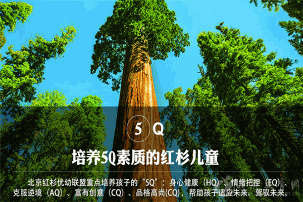 北京红杉优幼联盟