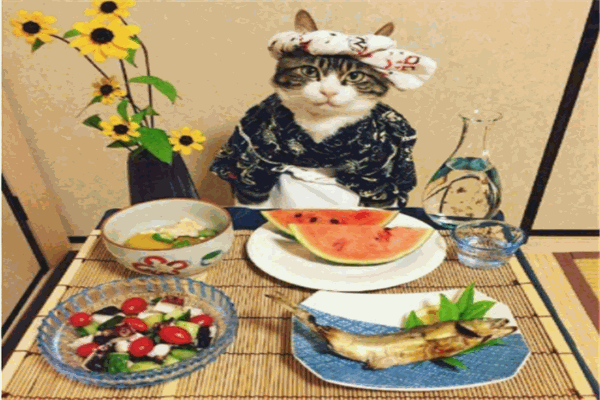 猫鲜生日料