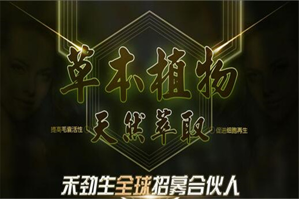 禾劲生梳疗养发馆加盟