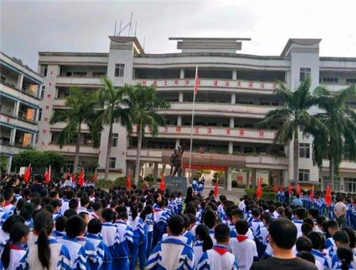 鲨鱼少年客