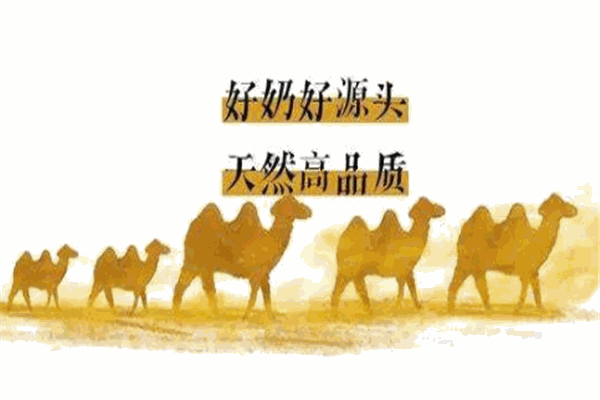 驼奶故事