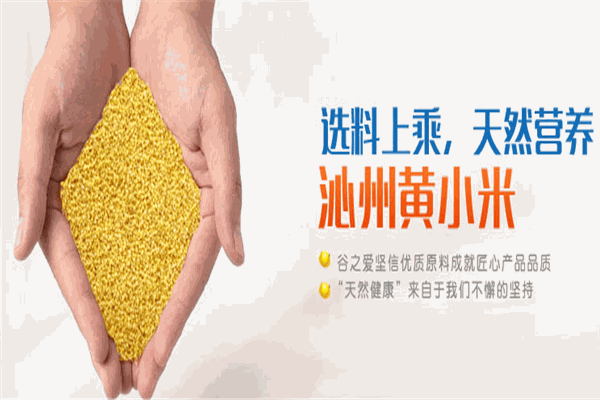 谷之爱婴幼儿小米粉