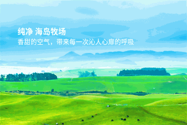 倍思纯奶粉