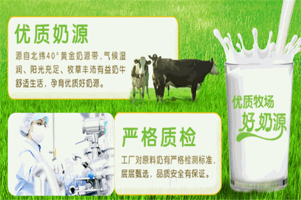 新天香乳业