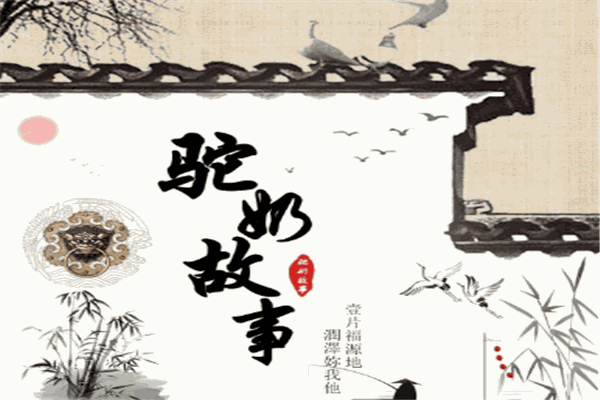 驼奶故事