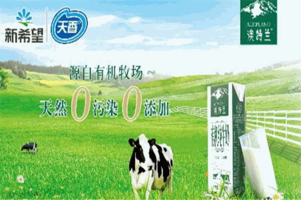 新天香乳业