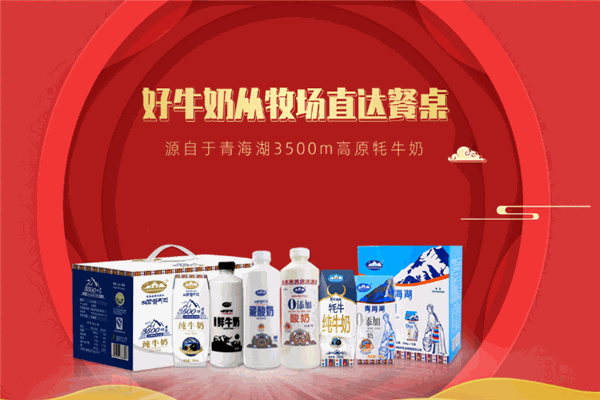 雪峰牦牛乳业