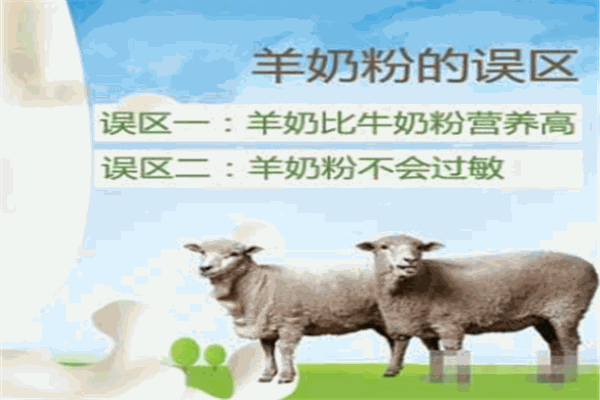 羊羊100奶粉