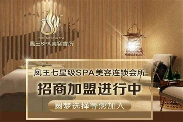凤王SPA美容加盟