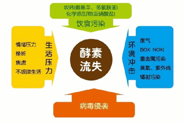 高地DIY酵素