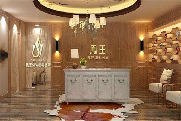 凤王SPA美容加盟