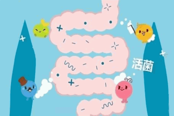 好哺博士益生菌加盟