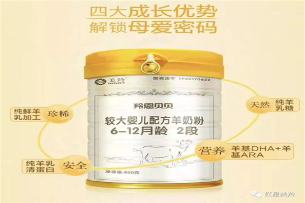 全恩奶粉