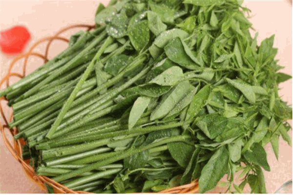 大西南乡野菜