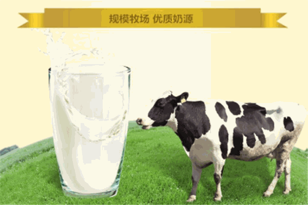秦俑奶粉