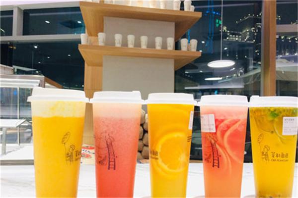 茶和面团