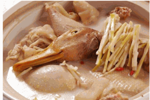 安敦逸老鸭汤