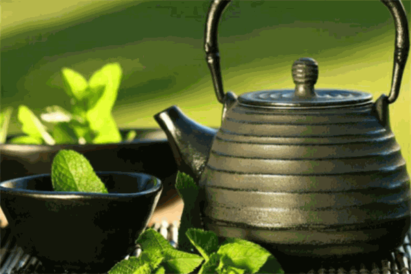 新玥茶艺培训