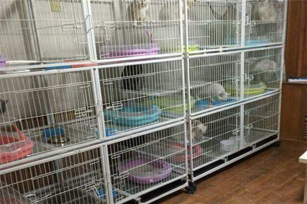 阳光宠物店加盟