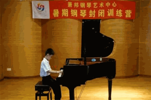 萧邦钢琴艺术培训中心