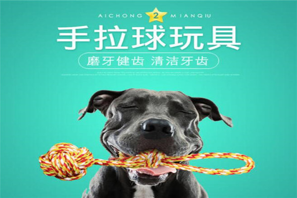 万宠宠物玩具加盟