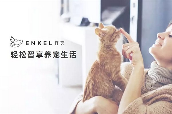 宜宠加盟