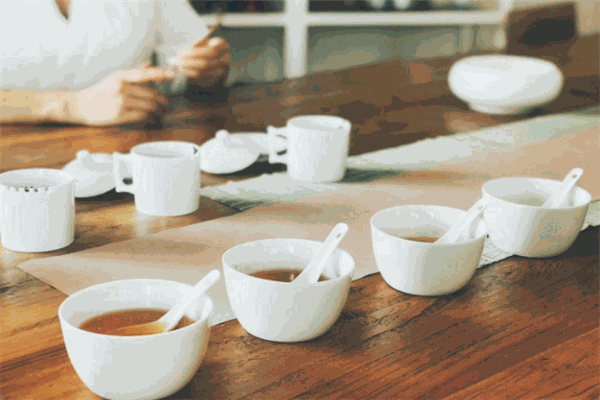 新玥茶艺培训