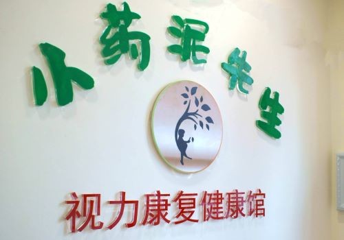 小药泥先生视力康复