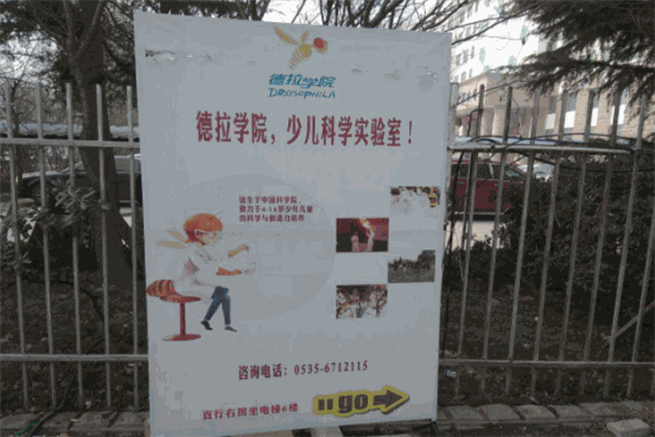 德拉学院