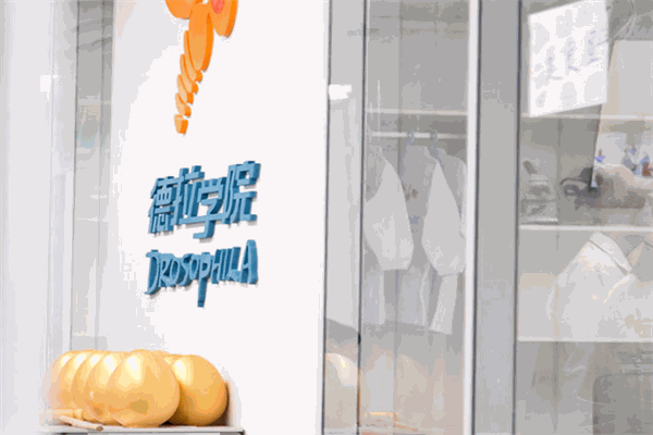 德拉学院