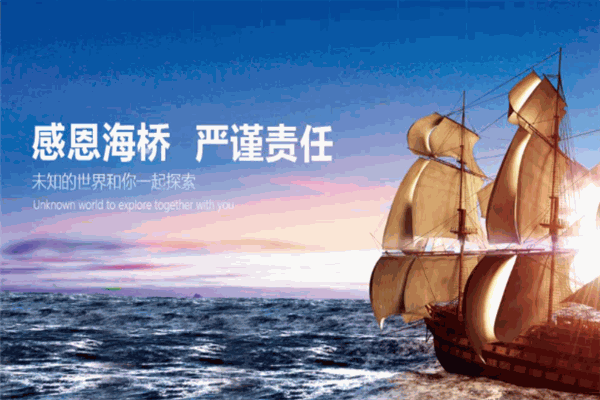海桥教育