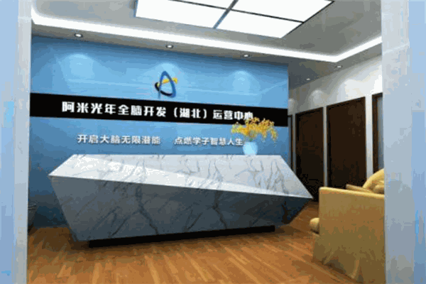 阿米光年全脑教育
