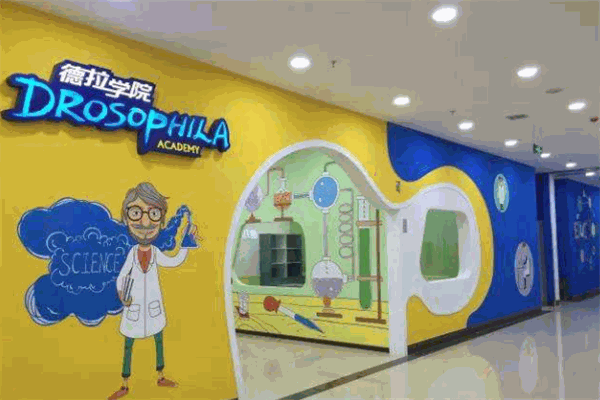 德拉学院