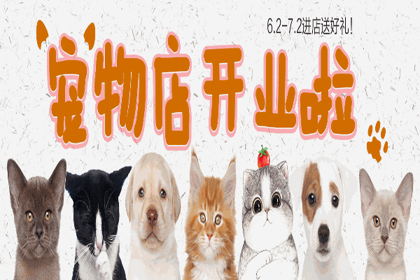逸掌帮宠物店加盟