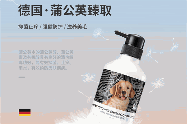 汪星人宠物加盟