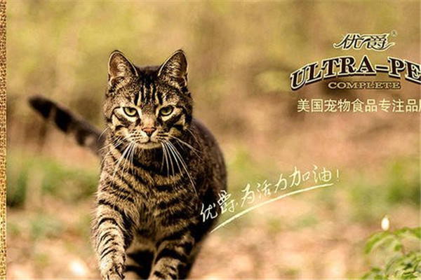 优爵宠物食品加盟