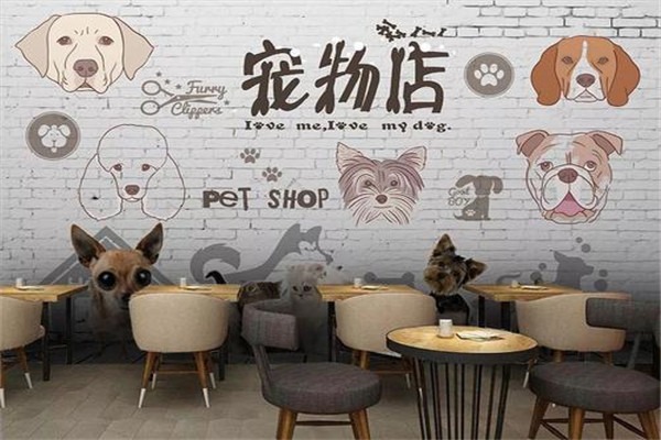 贝乐耶宠物店加盟