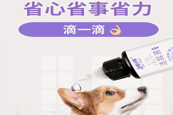 多啦小萌爱宠园加盟